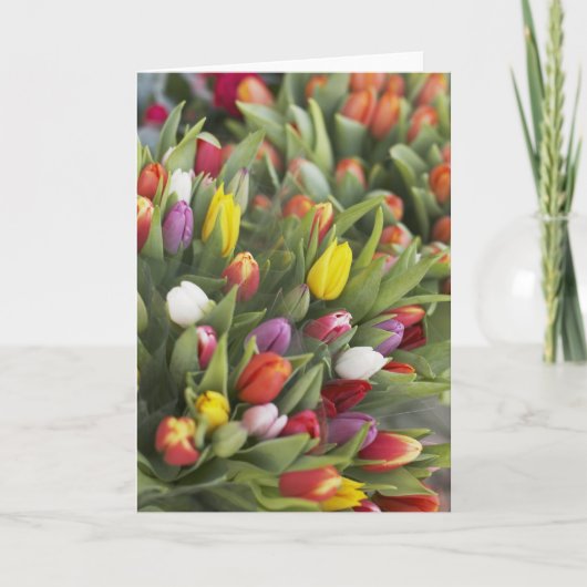 Bossen van kleurrijke tulpen kaart (Voorkant)
