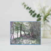 Bossen van Pond Photo Briefkaart (Staand voorkant)