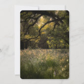 Bossen voor bijtende bosbomen kaart (Achterkant)