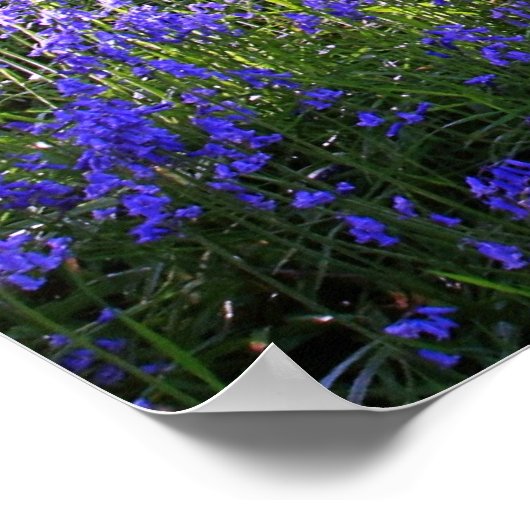 Bossenwoud, Christelijk poster, psalm 89 Poster (Hoek)