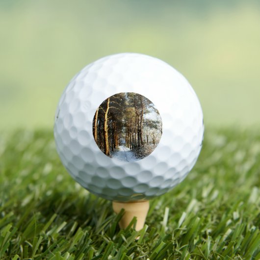 Bossneeuw Scène be6 gbcna Golfballen (Insitu Shirt)