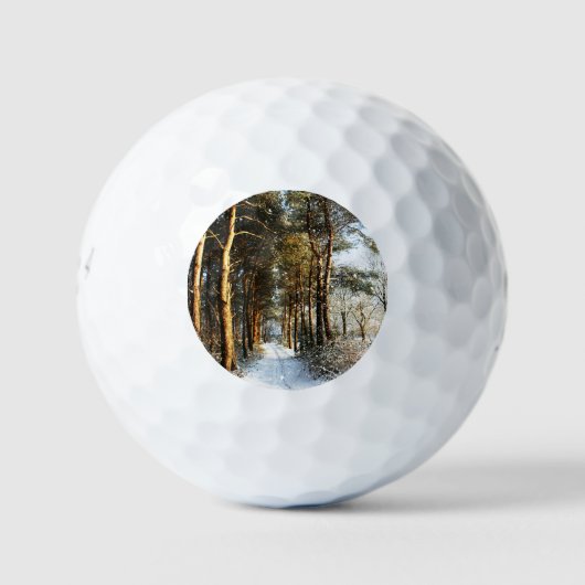 Bossneeuw Scène be6 gbcna Golfballen (Voorkant)