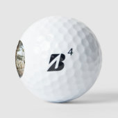 Bossneeuw Scène be6 gbcna Golfballen (Logo)