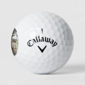 Bossneeuw Scène cwb gbcna Golfballen (Logo)