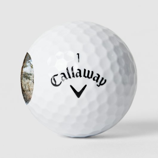 Bossneeuw Scène cwb gbcna Golfballen (Logo)