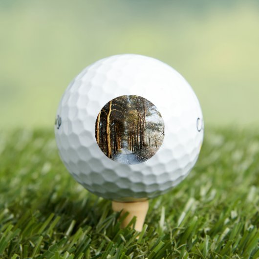 Bossneeuw Scène cwb gbcna Golfballen (Insitu Shirt)