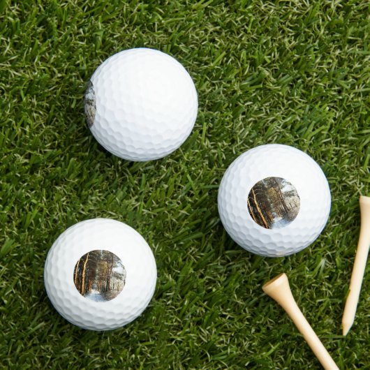 Bossneeuwscène van gbcna golfballen (Insitu Gras)