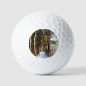 Bossneeuwscène van gbcna golfballen (Voorkant)