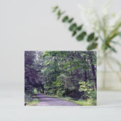 Bossnijpad - briefkaart (Staand voorkant)