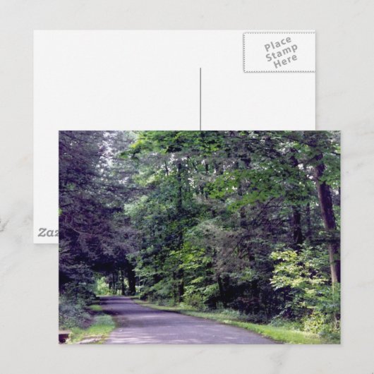 Bossnijpad - briefkaart (Voorkant / Achterkant)