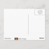 Bossnijpad - briefkaart (Achterkant)