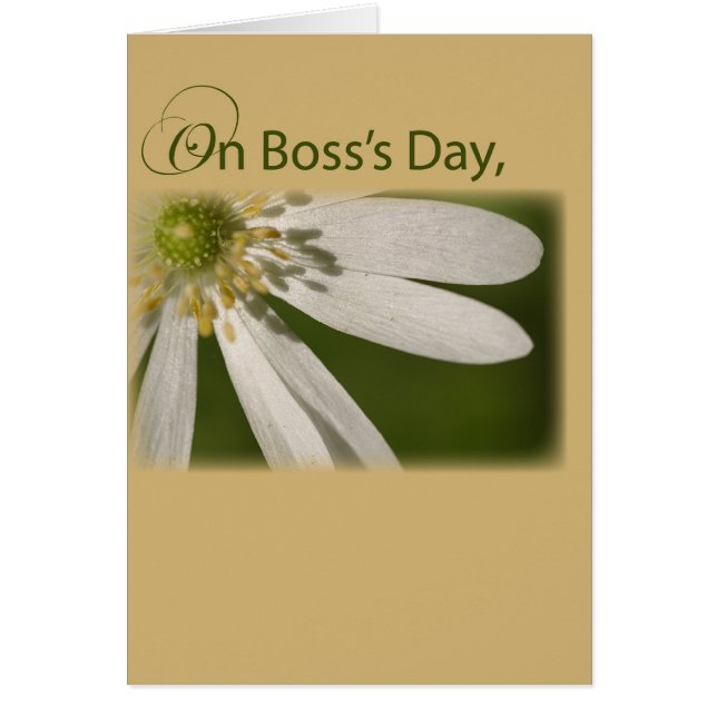 Boss's Day White Flower (Voorkant)