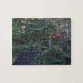 Bosstappen in de vroege herfst legpuzzel (Horizontaal)