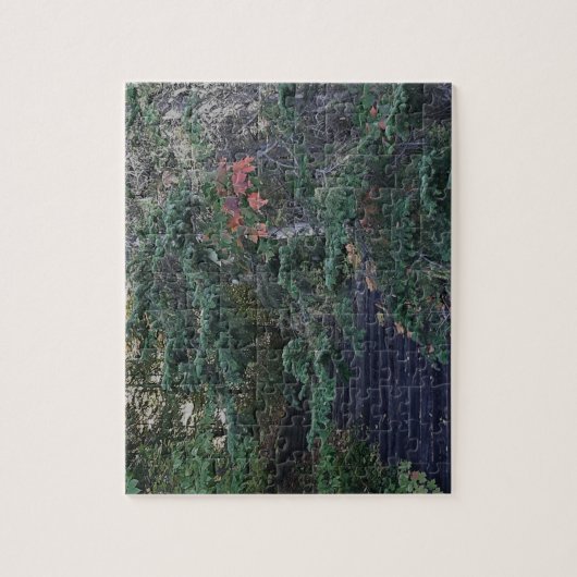 Bosstappen in de vroege herfst legpuzzel (Verticaal)