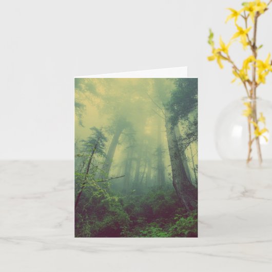 BOSSTE FOTOGRAFIE BIRTHDAAGKAARTEN KAART (Gele Bloem)