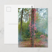 Bosstemming  - canvasprint briefkaart (Voorkant / Achterkant)