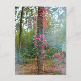 Bosstemming  - canvasprint briefkaart