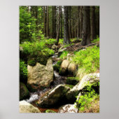 bosstroom poster (Voorkant)