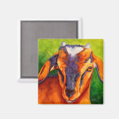 Bossy Boots - Baby Geitenmagneet Magneet (Voorkant / Achterkant)