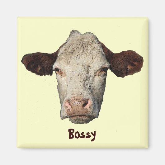 Bossy de Koe Magneet (Voorkant)