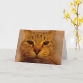 Bossy Impatient Cat komt goed Kaart (Gele Bloem)