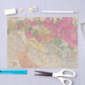 Boston 2 tissuepapier (Craft)