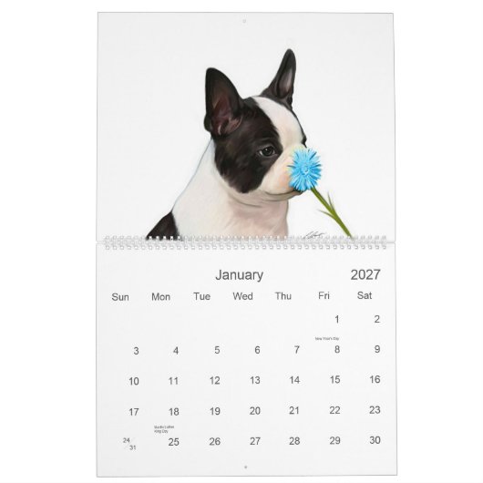 Boston Babies 2 Kalender (Jan 2027)