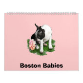 Boston Babies 2 Kalender (Hoes)