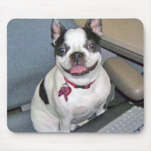 Boston bij de Computer Mousepad Muismat (Voorkant)