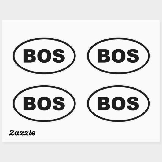 Boston BOS Ovale Sticker (Vel)