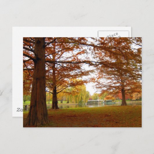 Boston Briefkaart (Voorkant / Achterkant)