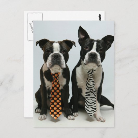 Boston Broers Briefkaarten (Voorkant / Achterkant)