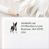 Boston Bull Terrier Etiket (Insitu)