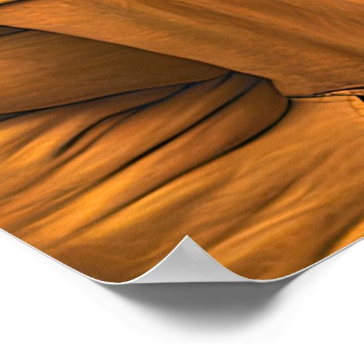 Boston Bull Terrier Poster (Hoek)