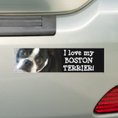 BOSTON-bumpersticker Bumpersticker (Op auto)