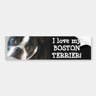 BOSTON-bumpersticker Bumpersticker