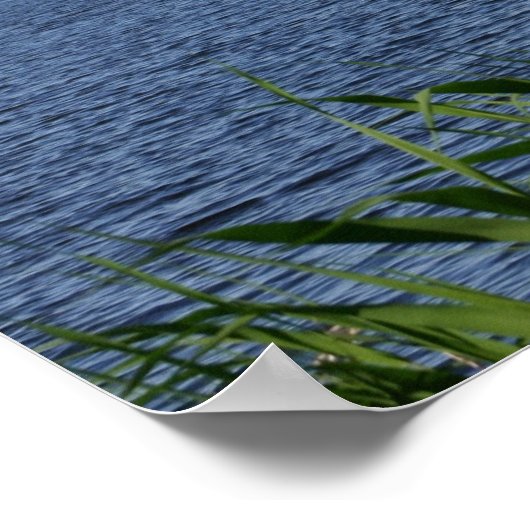 Boston Charles Poster (Hoek)