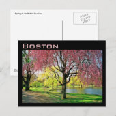 Boston Common Briefkaart (Voorkant / Achterkant)