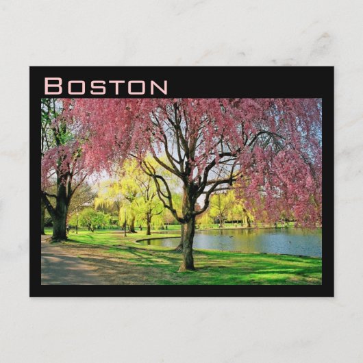 Boston Common Briefkaart (Voorkant)