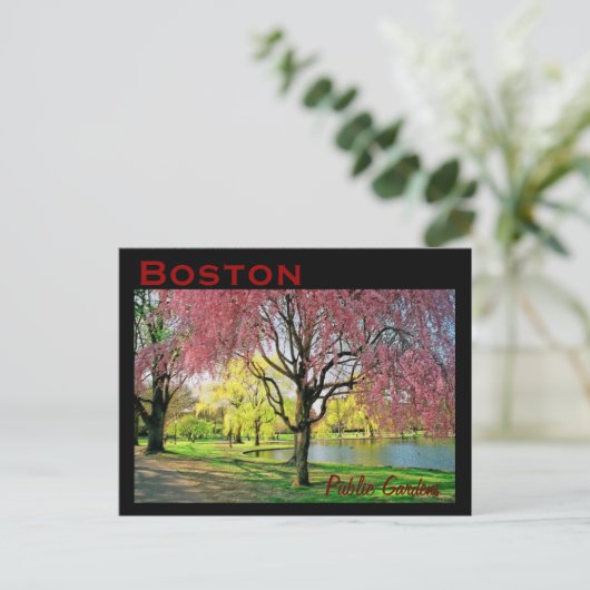 Boston Common Briefkaart - Gepersonaliseerd (Staand voorkant)