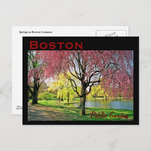 Boston Common Briefkaart - Gepersonaliseerd (Voorkant / Achterkant)
