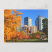 Boston Common in het najaar Briefkaart (Voorkant)