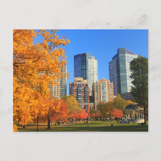 Boston Common in het najaar Briefkaart (Voorkant)