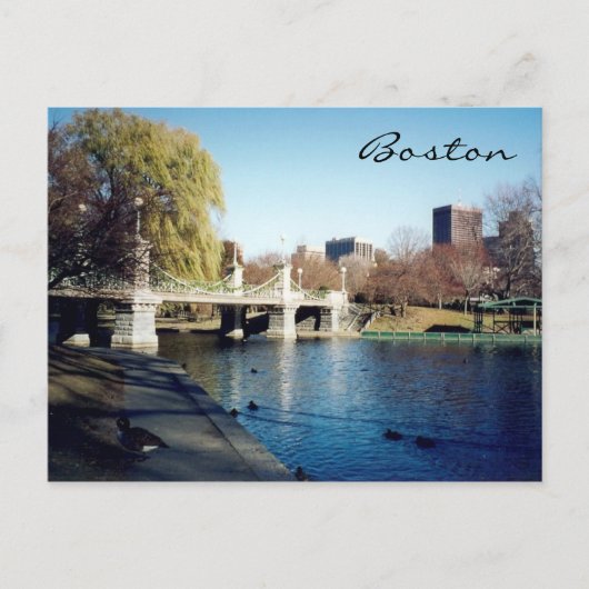 boston Common Lake Briefkaart (Voorkant)