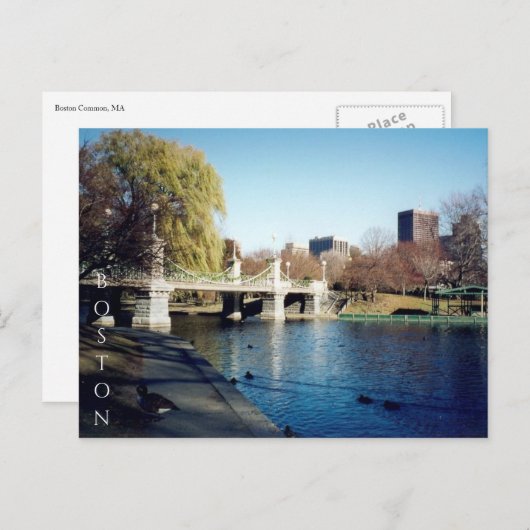 boston Common Lake Briefkaart (Voorkant / Achterkant)