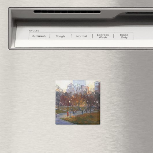 "Boston Common" magneet (Insitu (Vaatwasser))