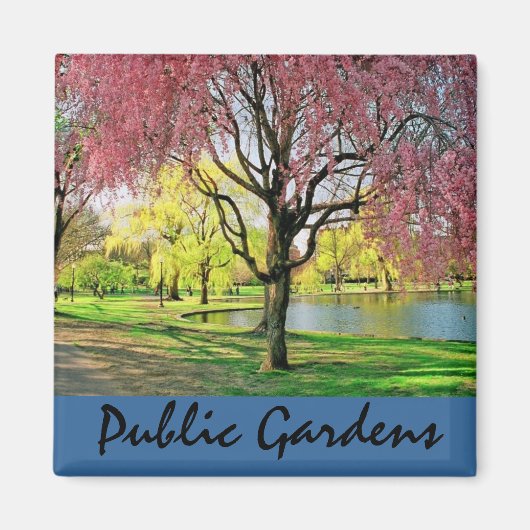 Boston Common Magnet (Voorkant)