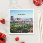 Boston Common, openbaar park, Servet (Insitu)