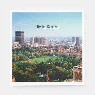 Boston Common, openbaar park, Servet