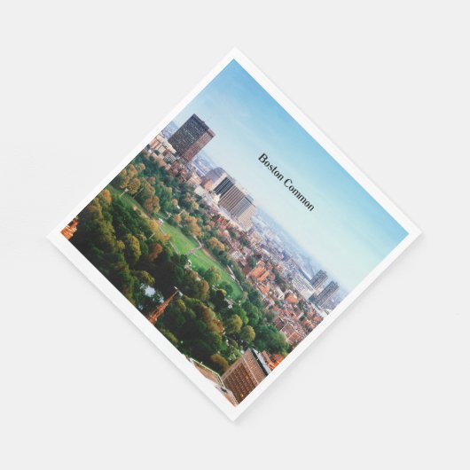 Boston Common, openbaar park, Servet (Hoek)